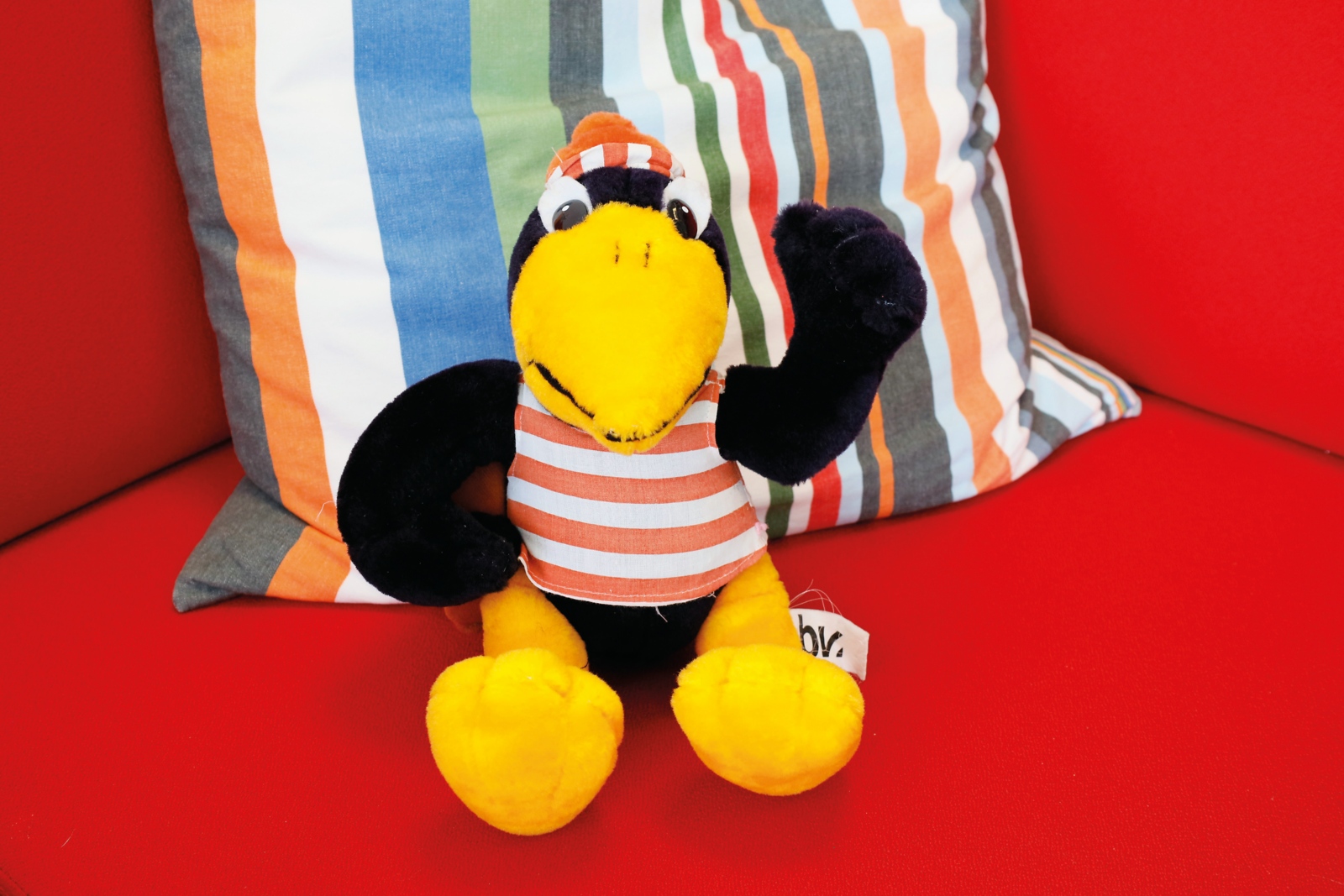 Fridolin auf Couch